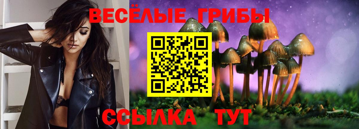 Галлюциногенные грибы MAGIC MUSHROOMS  Псилоцибиновые грибы Psilocybe  Белогорск  Вход с VPN 